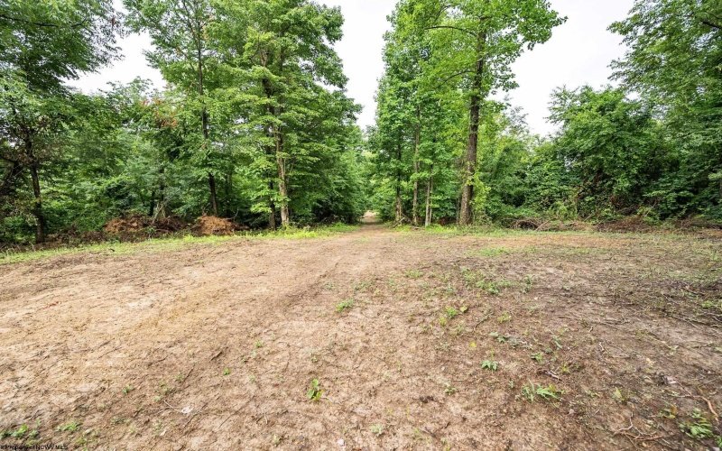 Lot 5 Burnt Cabin Road, Fairmont, West Virginia 26554, 0 , 0 ,0,Lots/land,For Sale,Burnt Cabin,0,10165857