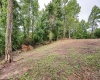 Lot 5 Burnt Cabin Road, Fairmont, West Virginia 26554, 0 , 0 ,0,Lots/land,For Sale,Burnt Cabin,0,10165857
