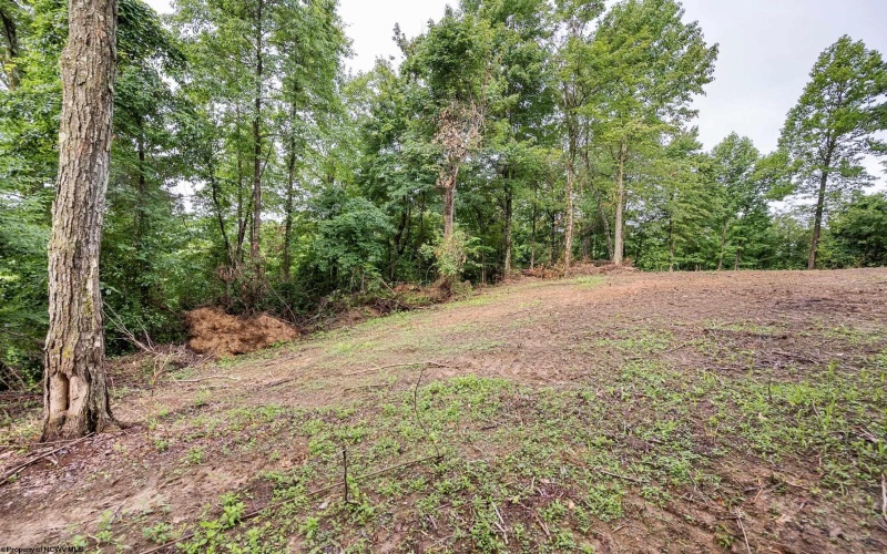 Lot 5 Burnt Cabin Road, Fairmont, West Virginia 26554, 0 , 0 ,0,Lots/land,For Sale,Burnt Cabin,0,10165857