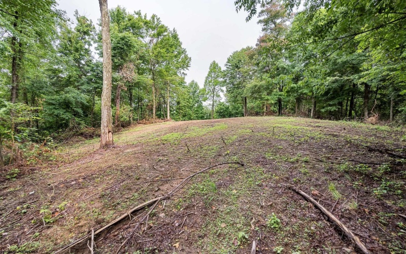 Lot 5 Burnt Cabin Road, Fairmont, West Virginia 26554, 0 , 0 ,0,Lots/land,For Sale,Burnt Cabin,0,10165857