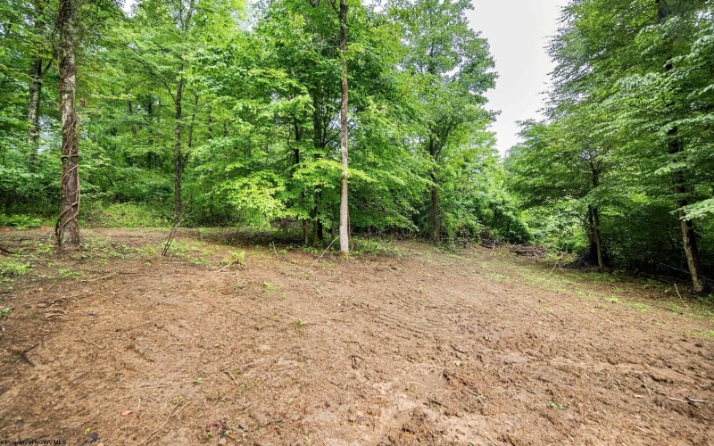 Lot 6 Burnt Cabin Road, Fairmont, West Virginia 26554, 0 , 0 ,0,Lots/land,For Sale,Burnt Cabin,0,10165858 Lot 6 Burnt Cabin Road, Fairmont, West Virginia 26554, 0 , 0 ,0,Lots/land,For Sale,Burnt Cabin,0,10165858