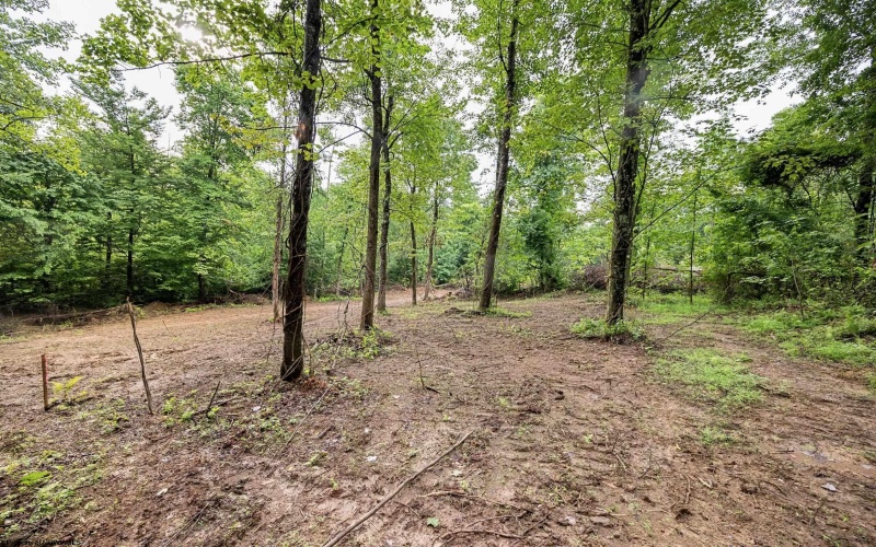 Lot 6 Burnt Cabin Road, Fairmont, West Virginia 26554, 0 , 0 ,0,Lots/land,For Sale,Burnt Cabin,0,10165858 Lot 6 Burnt Cabin Road, Fairmont, West Virginia 26554, 0 , 0 ,0,Lots/land,For Sale,Burnt Cabin,0,10165858