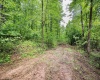 Lot 6 Burnt Cabin Road, Fairmont, West Virginia 26554, 0 , 0 ,0,Lots/land,For Sale,Burnt Cabin,0,10165858 Lot 6 Burnt Cabin Road, Fairmont, West Virginia 26554, 0 , 0 ,0,Lots/land,For Sale,Burnt Cabin,0,10165858