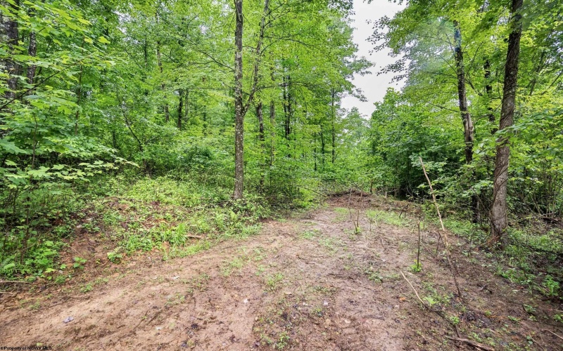 Lot 6 Burnt Cabin Road, Fairmont, West Virginia 26554, 0 , 0 ,0,Lots/land,For Sale,Burnt Cabin,0,10165858 Lot 6 Burnt Cabin Road, Fairmont, West Virginia 26554, 0 , 0 ,0,Lots/land,For Sale,Burnt Cabin,0,10165858