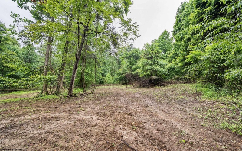 Lot 7 Burnt Cabin Road, Fairmont, West Virginia 26554, 0 , 0 ,0,Lots/land,For Sale,Burnt Cabin,0,10165859 Lot 7 Burnt Cabin Road, Fairmont, West Virginia 26554, 0 , 0 ,0,Lots/land,For Sale,Burnt Cabin,0,10165859