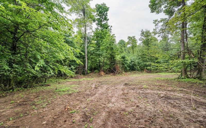 Lot 7 Burnt Cabin Road, Fairmont, West Virginia 26554, 0 , 0 ,0,Lots/land,For Sale,Burnt Cabin,0,10165859 Lot 7 Burnt Cabin Road, Fairmont, West Virginia 26554, 0 , 0 ,0,Lots/land,For Sale,Burnt Cabin,0,10165859