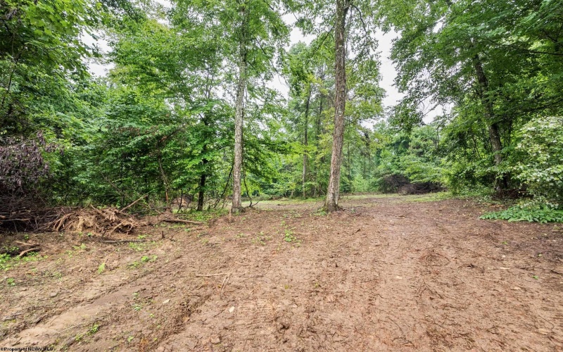 Lot 7 Burnt Cabin Road, Fairmont, West Virginia 26554, 0 , 0 ,0,Lots/land,For Sale,Burnt Cabin,0,10165859 Lot 7 Burnt Cabin Road, Fairmont, West Virginia 26554, 0 , 0 ,0,Lots/land,For Sale,Burnt Cabin,0,10165859