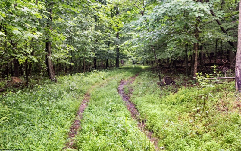 Lot 7 Burnt Cabin Road, Fairmont, West Virginia 26554, 0 , 0 ,0,Lots/land,For Sale,Burnt Cabin,0,10165859 Lot 7 Burnt Cabin Road, Fairmont, West Virginia 26554, 0 , 0 ,0,Lots/land,For Sale,Burnt Cabin,0,10165859