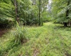 Lot 7 Burnt Cabin Road, Fairmont, West Virginia 26554, 0 , 0 ,0,Lots/land,For Sale,Burnt Cabin,0,10165859 Lot 7 Burnt Cabin Road, Fairmont, West Virginia 26554, 0 , 0 ,0,Lots/land,For Sale,Burnt Cabin,0,10165859