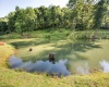 Lot 1 Breezy Knoll Drive, Buckhannon, West Virginia 26201, 0 , 0 ,0,Lots/land,For Sale,Breezy Knoll,0,10165860