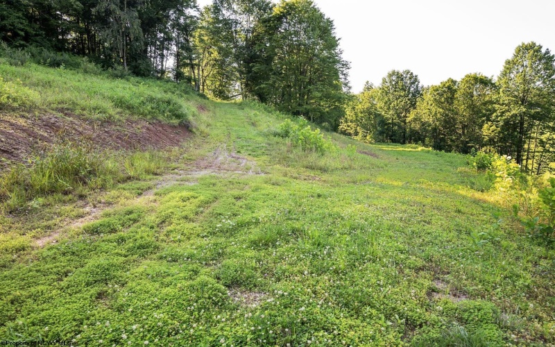Lot 1 Breezy Knoll Drive, Buckhannon, West Virginia 26201, 0 , 0 ,0,Lots/land,For Sale,Breezy Knoll,0,10165860