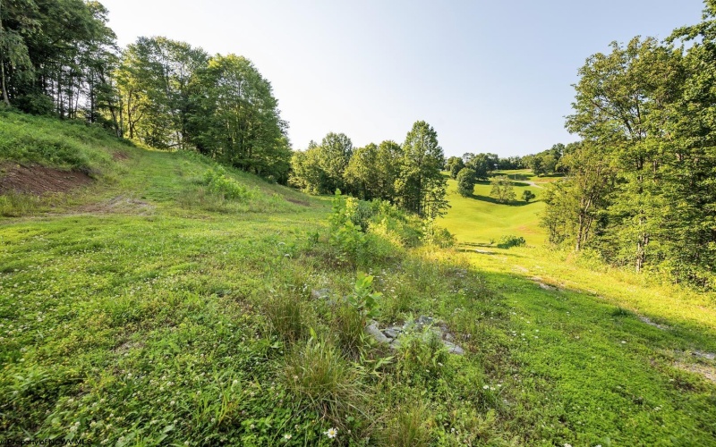 Lot 1 Breezy Knoll Drive, Buckhannon, West Virginia 26201, 0 , 0 ,0,Lots/land,For Sale,Breezy Knoll,0,10165860