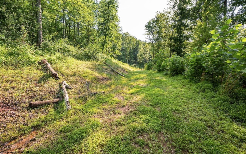 Lot 1 Breezy Knoll Drive, Buckhannon, West Virginia 26201, 0 , 0 ,0,Lots/land,For Sale,Breezy Knoll,0,10165860