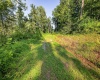 Lot 1 Breezy Knoll Drive, Buckhannon, West Virginia 26201, 0 , 0 ,0,Lots/land,For Sale,Breezy Knoll,0,10165860