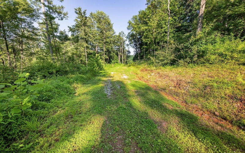 Lot 1 Breezy Knoll Drive, Buckhannon, West Virginia 26201, 0 , 0 ,0,Lots/land,For Sale,Breezy Knoll,0,10165860