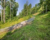 Lot 1 Breezy Knoll Drive, Buckhannon, West Virginia 26201, 0 , 0 ,0,Lots/land,For Sale,Breezy Knoll,0,10165860