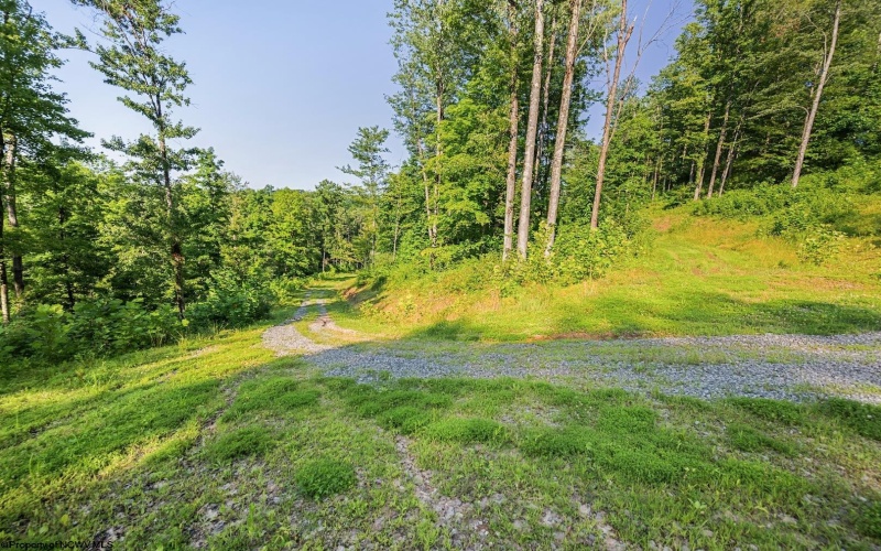 Lot 1 Breezy Knoll Drive, Buckhannon, West Virginia 26201, 0 , 0 ,0,Lots/land,For Sale,Breezy Knoll,0,10165860