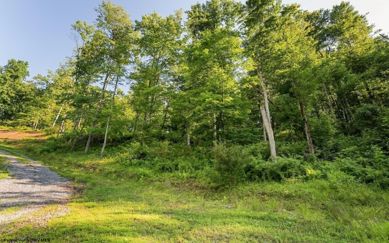 Lot 1 Breezy Knoll Drive, Buckhannon, West Virginia 26201, 0 , 0 ,0,Lots/land,For Sale,Breezy Knoll,0,10165860