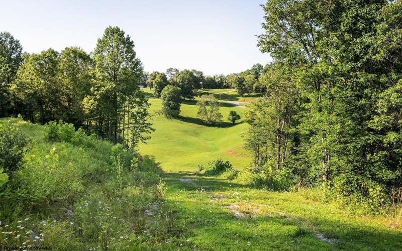 Lot 1 Breezy Knoll Drive, Buckhannon, West Virginia 26201, 0 , 0 ,0,Lots/land,For Sale,Breezy Knoll,0,10165860