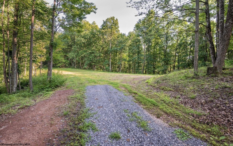 Lot 1 Breezy Knoll Drive, Buckhannon, West Virginia 26201, 0 , 0 ,0,Lots/land,For Sale,Breezy Knoll,0,10165860