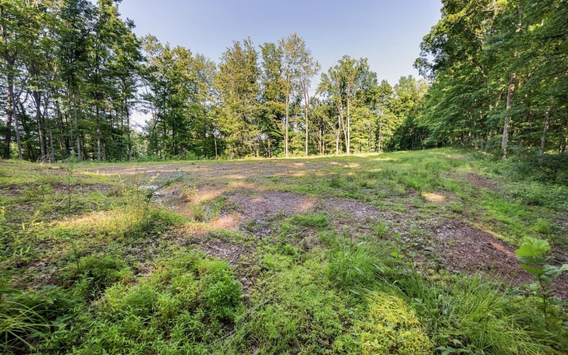 Lot 1 Breezy Knoll Drive, Buckhannon, West Virginia 26201, 0 , 0 ,0,Lots/land,For Sale,Breezy Knoll,0,10165860