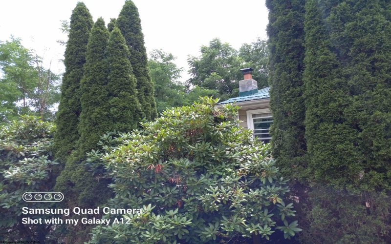 152 Spruce Street, Parsons, West Virginia 26287, 2 Bedrooms Bedrooms, 5 Rooms Rooms,1 BathroomBathrooms,Single Family Detached,For Sale,Spruce,0,10165852 152 Spruce Street, Parsons, West Virginia 26287, 2 Bedrooms Bedrooms, 5 Rooms Rooms,1 BathroomBathrooms,Single Family Detached,For Sale,Spruce,0,10165852