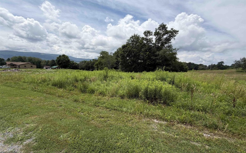 25 Arrowhead Lane, Dryfork, West Virginia 26263, 0 , 0 ,0,Multi-unit/income,For Sale,Arrowhead,0,10165874