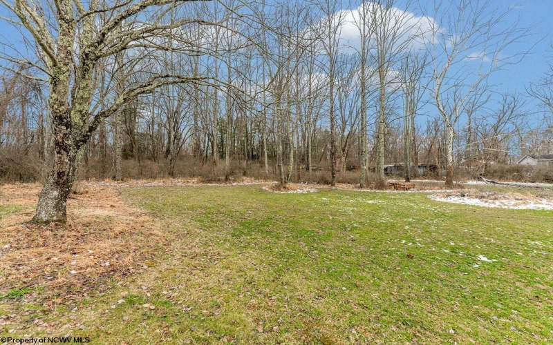 202 Norway Loop Road, Fairmont, West Virginia 26554, 0 , 0 ,0,Lots/land,For Sale,Norway Loop,0,10162979