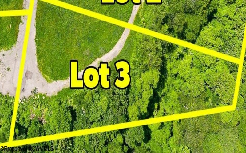 Lot 3 Laurel Run Pisgah Road, Bruceton Mills, West Virginia 26525, 0 , 0 ,0,Lots/land,For Sale,Laurel Run Pisgah,0,10165892