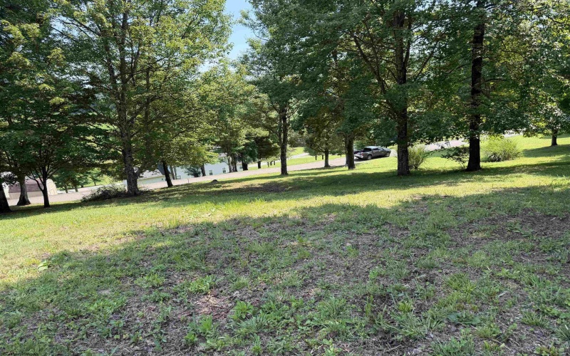 Tbd Doe Lane, Buckhannon, West Virginia 26201, 0 , 0 ,0,Lots/land,For Sale,Doe,0,10165894