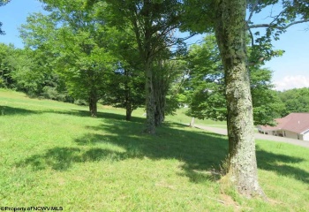 Tbd Doe Lane, Buckhannon, West Virginia 26201, 0 , 0 ,0,Lots/land,For Sale,Doe,0,10165894