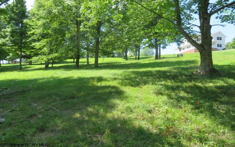 Tbd Doe Lane, Buckhannon, West Virginia 26201, 0 , 0 ,0,Lots/land,For Sale,Doe,0,10165894