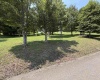 Tbd Doe Lane, Buckhannon, West Virginia 26201, 0 , 0 ,0,Lots/land,For Sale,Doe,0,10165894