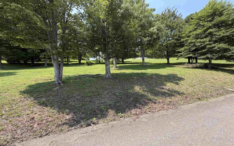 Tbd Doe Lane, Buckhannon, West Virginia 26201, 0 , 0 ,0,Lots/land,For Sale,Doe,0,10165894