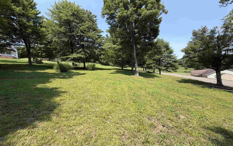 Tbd Doe Lane, Buckhannon, West Virginia 26201, 0 , 0 ,0,Lots/land,For Sale,Doe,0,10165894