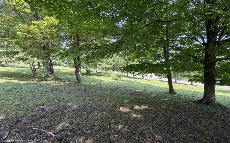 Tbd Doe Lane, Buckhannon, West Virginia 26201, 0 , 0 ,0,Lots/land,For Sale,Doe,0,10165894
