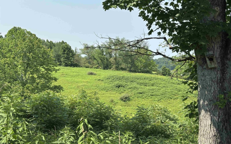 TBD SLAB CAMP Road, French Creek, West Virginia 26218, 0 , 0 ,0,Lots/land,For Sale,SLAB CAMP,0,10165897 TBD SLAB CAMP Road, French Creek, West Virginia 26218, 0 , 0 ,0,Lots/land,For Sale,SLAB CAMP,0,10165897