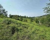 TBD SLAB CAMP Road, French Creek, West Virginia 26218, 0 , 0 ,0,Lots/land,For Sale,SLAB CAMP,0,10165897 TBD SLAB CAMP Road, French Creek, West Virginia 26218, 0 , 0 ,0,Lots/land,For Sale,SLAB CAMP,0,10165897