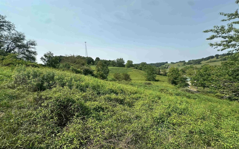 TBD SLAB CAMP Road, French Creek, West Virginia 26218, 0 , 0 ,0,Lots/land,For Sale,SLAB CAMP,0,10165897 TBD SLAB CAMP Road, French Creek, West Virginia 26218, 0 , 0 ,0,Lots/land,For Sale,SLAB CAMP,0,10165897