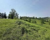 TBD SLAB CAMP Road, French Creek, West Virginia 26218, 0 , 0 ,0,Lots/land,For Sale,SLAB CAMP,0,10165897 TBD SLAB CAMP Road, French Creek, West Virginia 26218, 0 , 0 ,0,Lots/land,For Sale,SLAB CAMP,0,10165897