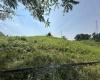TBD SLAB CAMP Road, French Creek, West Virginia 26218, 0 , 0 ,0,Lots/land,For Sale,SLAB CAMP,0,10165897 TBD SLAB CAMP Road, French Creek, West Virginia 26218, 0 , 0 ,0,Lots/land,For Sale,SLAB CAMP,0,10165897