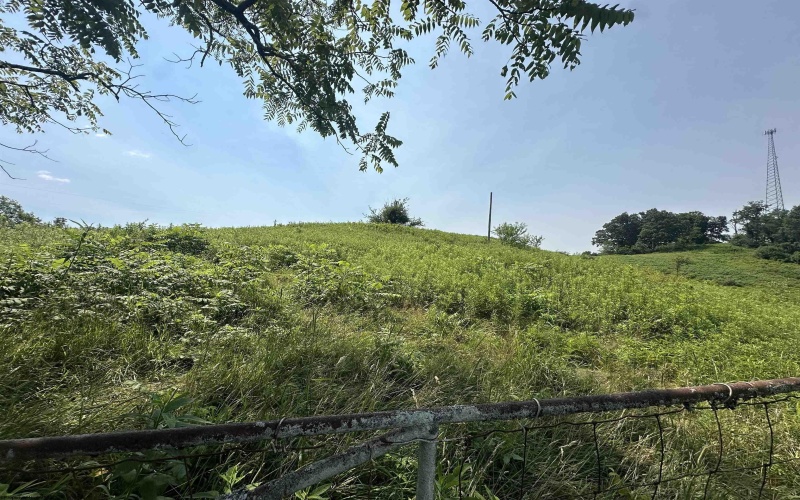 TBD SLAB CAMP Road, French Creek, West Virginia 26218, 0 , 0 ,0,Lots/land,For Sale,SLAB CAMP,0,10165897 TBD SLAB CAMP Road, French Creek, West Virginia 26218, 0 , 0 ,0,Lots/land,For Sale,SLAB CAMP,0,10165897