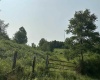 TBD SLAB CAMP Road, French Creek, West Virginia 26218, 0 , 0 ,0,Lots/land,For Sale,SLAB CAMP,0,10165897 TBD SLAB CAMP Road, French Creek, West Virginia 26218, 0 , 0 ,0,Lots/land,For Sale,SLAB CAMP,0,10165897