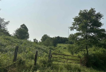 TBD SLAB CAMP Road, French Creek, West Virginia 26218, 0 , 0 ,0,Lots/land,For Sale,SLAB CAMP,0,10165897