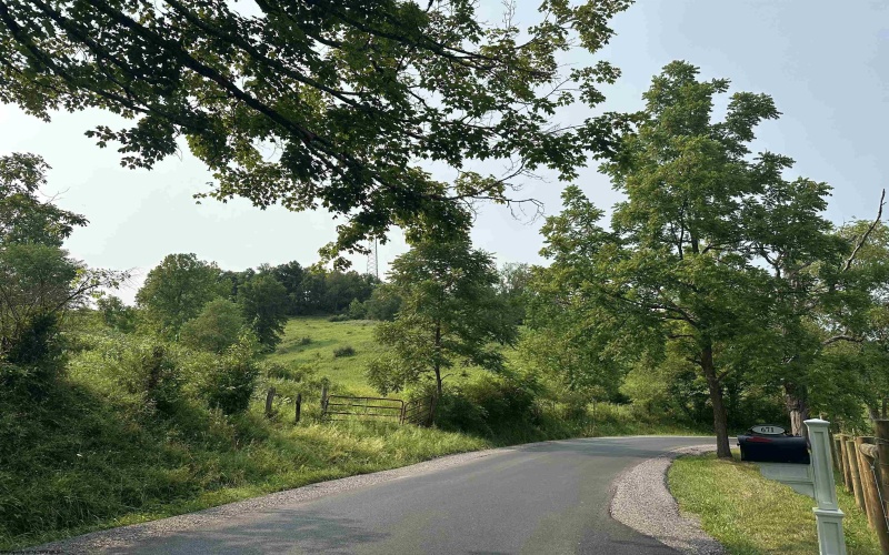 TBD SLAB CAMP Road, French Creek, West Virginia 26218, 0 , 0 ,0,Lots/land,For Sale,SLAB CAMP,0,10165897 TBD SLAB CAMP Road, French Creek, West Virginia 26218, 0 , 0 ,0,Lots/land,For Sale,SLAB CAMP,0,10165897