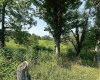 TBD SLAB CAMP Road, French Creek, West Virginia 26218, 0 , 0 ,0,Lots/land,For Sale,SLAB CAMP,0,10165897 TBD SLAB CAMP Road, French Creek, West Virginia 26218, 0 , 0 ,0,Lots/land,For Sale,SLAB CAMP,0,10165897