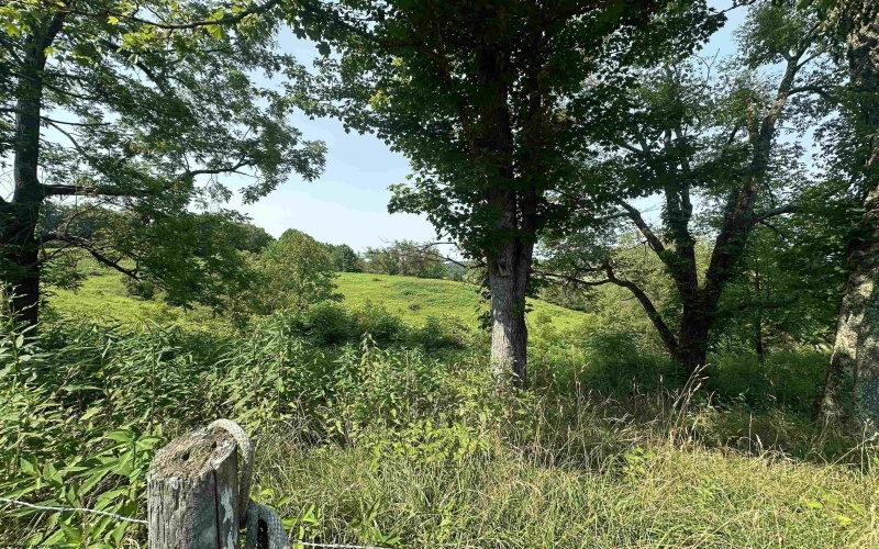 TBD SLAB CAMP Road, French Creek, West Virginia 26218, 0 , 0 ,0,Lots/land,For Sale,SLAB CAMP,0,10165897 TBD SLAB CAMP Road, French Creek, West Virginia 26218, 0 , 0 ,0,Lots/land,For Sale,SLAB CAMP,0,10165897