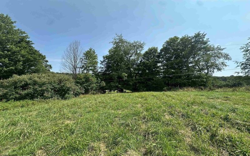 TBD SLAB CAMP Road, French Creek, West Virginia 26218, 0 , 0 ,0,Lots/land,For Sale,SLAB CAMP,0,10165897 TBD SLAB CAMP Road, French Creek, West Virginia 26218, 0 , 0 ,0,Lots/land,For Sale,SLAB CAMP,0,10165897