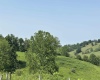 TBD SLAB CAMP Road, French Creek, West Virginia 26218, 0 , 0 ,0,Lots/land,For Sale,SLAB CAMP,0,10165897 TBD SLAB CAMP Road, French Creek, West Virginia 26218, 0 , 0 ,0,Lots/land,For Sale,SLAB CAMP,0,10165897