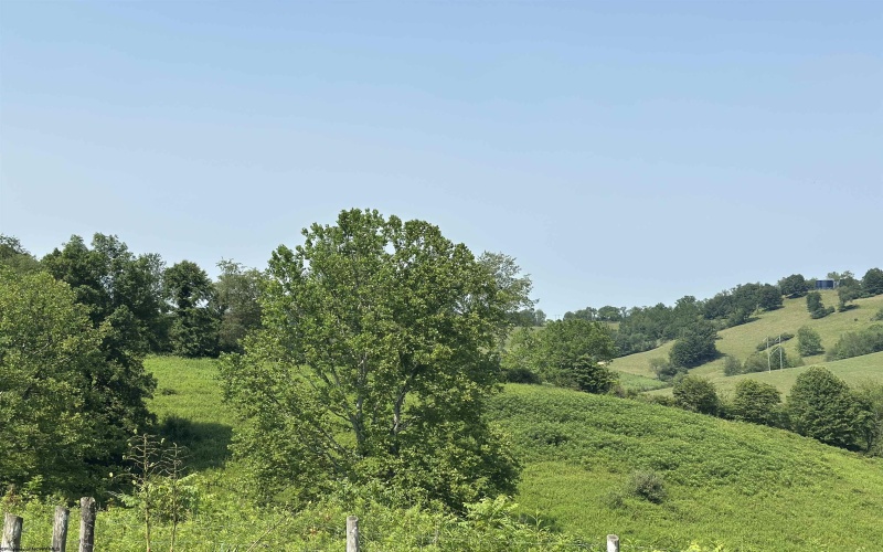 TBD SLAB CAMP Road, French Creek, West Virginia 26218, 0 , 0 ,0,Lots/land,For Sale,SLAB CAMP,0,10165897 TBD SLAB CAMP Road, French Creek, West Virginia 26218, 0 , 0 ,0,Lots/land,For Sale,SLAB CAMP,0,10165897